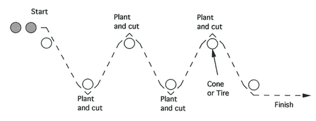 Illustration of RUNNING BACK SPRINT - PLANT AND CUT DRILL