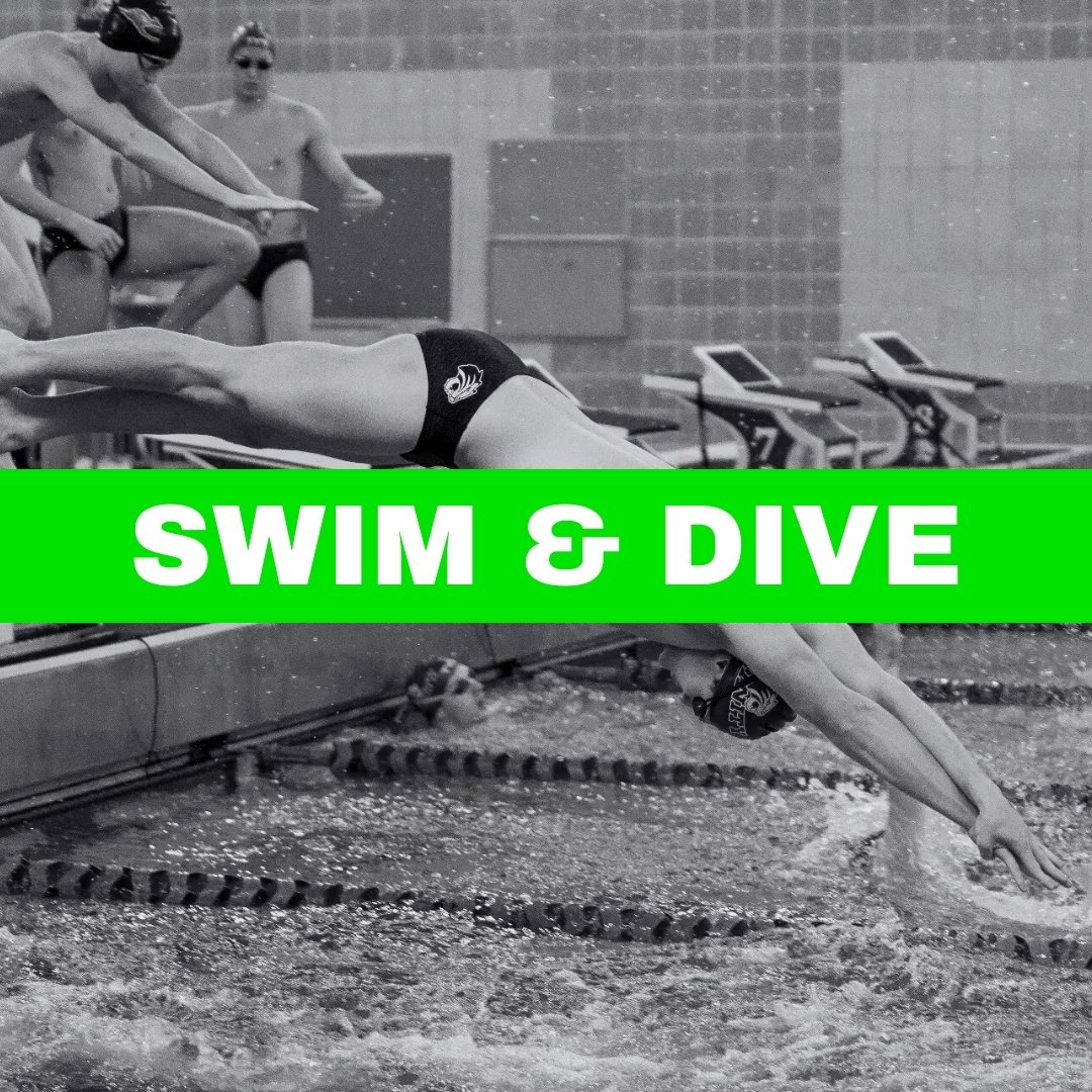 Swim and Dive