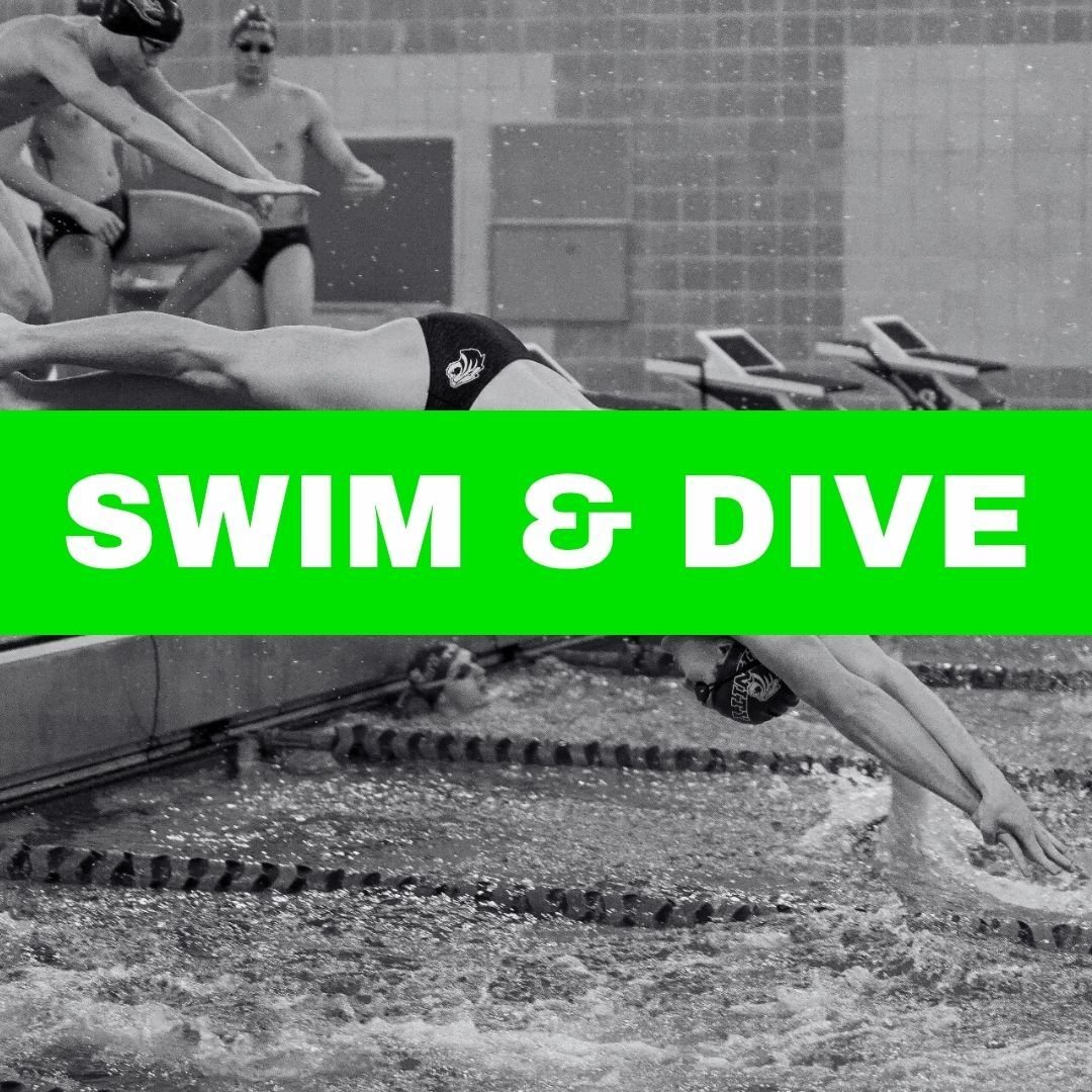 swim & dive