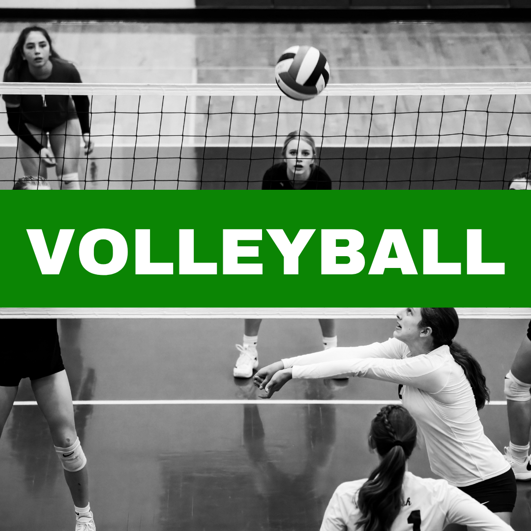 Volleyball